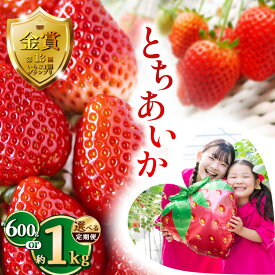 【ふるさと納税】【選べる定期便】とちあいか約600g 1kg | 定期便 送料無料 とちあいか いちご フルーツ 甘い ジューシー苺 イチゴ ハート ハート型 ハート 断面 果物 おいしい 選べる内容量 栃木県 下野市