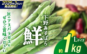 yӂ邳Ɣ[ŁzAXp 삠ςwNx LTCY 500g 1kgys\z | AXp ɑAXp AXpKX VN  Iׂe { t Ƃꂽ t lC  Ȗ، 