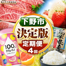 【ふるさと納税】下野市を堪能!!まんぷく定期便4回 | 紅白いちご 100％カジューハイピンクGFチューハイ缶 栃木県共通返礼品とちぎ和牛サーロイン 栃木県産こしひかり10kg 月ごとに届くものが変わる 送料無料 栃木県 下野市