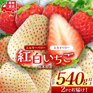 yӂ邳Ɣ[ŁzȖ،Y XJCx[ ~L[x[ 430`540g | Iׂ 270g×2 12`15ϔ g 2025NxY 2026N12萏o Yn 嗱 ~ o   C`S Xgx