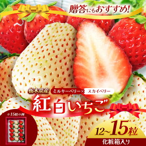 �y�ӂ邳�Ɣ[�Łz�Ȗ،��Y �X�J�C�x���[ �~���L�[�x���[ ��430�`540g | �I�ׂ� ��270g×2 12�`15�����ϔ��� �g�� 2025�N�x�Y 2026�N12����萏���o�� �Y�n �嗱 �~ ���o ������ � �C�`�S �X�g���x��