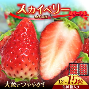 �y�ӂ邳�Ɣ[�Łz�Ȗ،��Y �X�J�C�x���[ 12�`15�� 430g�`460g | 2025�N�x�Y 2025�N12����萏���o�� �Y�n �嗱 �~ ���o ������ � �C�`�S �X�g���x���[ �傫�� �W���[�V�[ �Â� ���܂� �Ö� �l�C ��