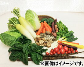 【ふるさと納税】No.028 下野市産　季節の野菜詰め合わせ ／ 季節野菜 やさい 新鮮 詰合せ 送料無料 栃木県 特産品