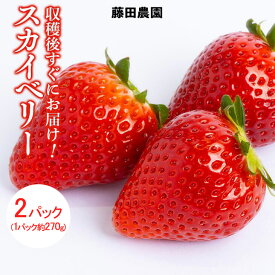 【ふるさと納税】＜先行予約＞ 鬼怒川の恵みをたっぷり受けた 栃木県上三川（かみのかわ）町産 スカイベリー【2パック】 いちご イチゴ 苺 スカイベリー ※2026年1月中旬～3月中旬頃に順次発送予定 ※離島への配送不可