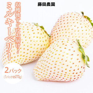 【ふるさと納税】<先行予約> 鬼怒川の恵みをたっぷり受けた 栃木県上三川(かみのかわ)町産 ミルキーベリー(白いちご)【2パック】 いちご イチゴ 苺 白いちご 白イチゴ 白苺 ミルキ