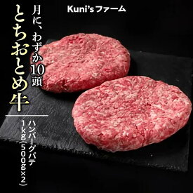【ふるさと納税】とちおとめ牛　ハンバーグパテ1kg(500g×2) 牛肉 パテ ※離島への配送不可