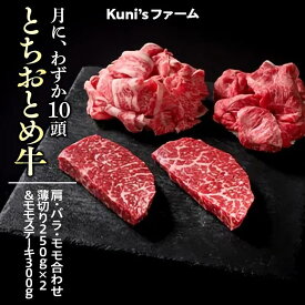 【ふるさと納税】とちおとめ牛　肩・バラ・モモ合わせ薄切り250g×2＆モモステーキ300gセット｜牛肉 希少 炒め物 詰め合わせ