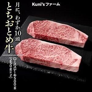 yӂ邳Ɣ[ŁzƂƂߋ@[XXe[L500g(250g×2)  Xe[L