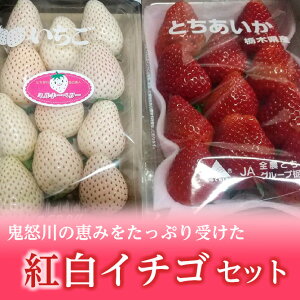 yӂ邳Ɣ[Łzs\񁄁yƂ ~L[x[zS{̌b݂Ղ󂯂@Ȗ،Oî݂jY@gC`SZbgyge1pbNz C`S  