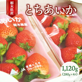 【ふるさと納税】栃木県産 とちあいか 280g×4P（合計1,120g） ｜ いちご 大粒 栃木県 果物 フルーツ 苺 イチゴ 　※2026年1月上旬～2月下旬頃に順次発送予定