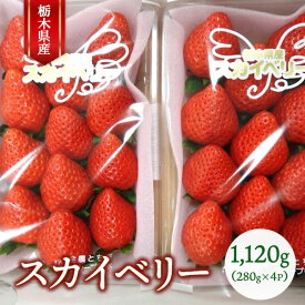 【ふるさと納税】栃木県産 スカイベリー 280g×4P（合計1,120g） ｜ いちご 大粒 栃木県 果物 フルーツ 苺 イチゴ 　※2026年1月上旬～2月下旬頃に順次発送予定
