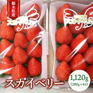 yӂ邳Ɣ[ŁzȖ،Y XJCx[ 280g×4Piv1,120gj b  嗱 Ȗ، ʕ t[c  C`S @2026N1{`2{ɏ\
