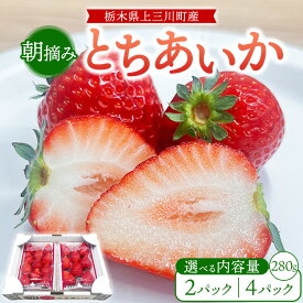【ふるさと納税】【選べる内容量】朝摘み『とちあいか』 栃木のイチゴ　大粒　280g以上×2P・4P ｜ いちご イチゴ 苺 栃木県 果物 フルーツ 甘い 酸味 さっぱり 完熟　※離島への配送不可　※2026年1月上旬～4月中旬頃に順次発送予定