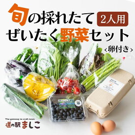 【ふるさと納税】旬の採れたてぜいたく野菜セット　卵付き♪　2人用　益子町 ふるさと納採れたて 卵 たまご セット 採れたて(AA001)