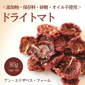 yӂ邳Ɣ[ŁzAEGUxXEt@[̃hCg}gbȖ، vq ӂ邳Ɣ[ g}g hCg}g h{_؁iAA009j
