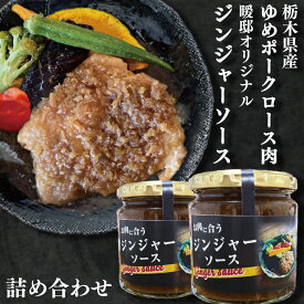【ふるさと納税】栃木県産ゆめポークロース肉と暖邸オリジナルジンジャーソース詰め合わせ(CM001)