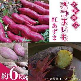 【ふるさと納税】糖化熟成さつまいも　約6kg　紅あずま(AU001-1)