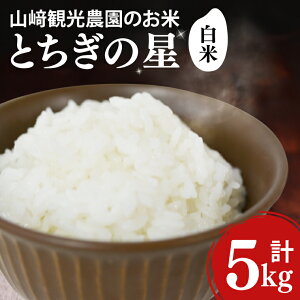 【ふるさと納税 10,000円】7年産 新米予約 ブランド米 5㎏
