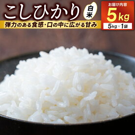 【ふるさと納税】★新米 令和8年★ 米 5kg 白米 「コシヒカリ」 ＼先行予約 選べる 配送月／ 山崎観光農園 栃木県 益子町 ふるさと納税 お米 コシヒカリ 白米 精米 5キロ 令和8年産 先行予約 10月/11月/12月 (AU014)