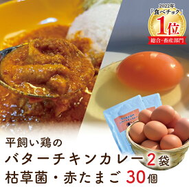 【ふるさと納税】「平飼い鶏のバターチキンカレー2袋」と「枯草菌・赤卵30個」のセット(BC002)