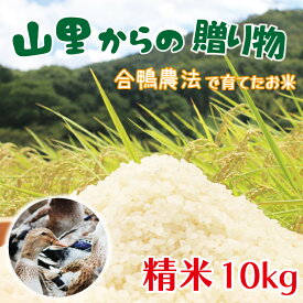 【ふるさと納税】山里からの贈り物　合鴨農法　米　精米　10kg(BI001)