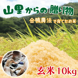 【ふるさと納税】【先行予約】山里からの贈り物　合鴨農法　玄米　10kg(BI002)