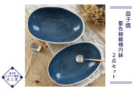【ふるさと納税】カレー、パスタにお勧め！益子焼 藍色細線楕円鉢2点セット（BU008）