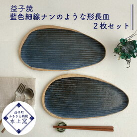 【ふるさと納税】益子焼 藍色細線ナンのような形長皿2枚セット(BU012)