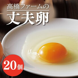 【ふるさと納税】高橋ファームの丈夫卵 20個入り(AQ001)