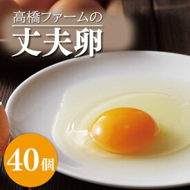 【ふるさと納税】高橋ファームの丈夫卵40個入り(AQ003-1)