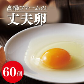 【ふるさと納税】高橋ファームの丈夫卵60個入り(AQ004)
