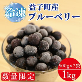 【ふるさと納税】＼数量限定／【先行予約】【9月より発送開始】益子町産 冷凍ブルーベリー 1kg (500g×2袋) フルーツ 果物 (AA020-1)