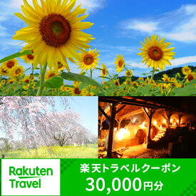 【ふるさと納税】楽天限定 栃木県益子町の対象施設で使える楽天トラベルクーポン 寄附額100,000円(DP002)