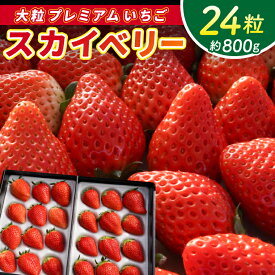 【ふるさと納税】【2026年1月発送開始】【先行予約】【数量限定】大粒プレミアムいちご スカイベリー 24粒 (約800g) | 栃木県 ふるさと納税 高級いちご 贈答用 イチゴ 苺 果物 フルーツ スカイベリー 熟成 大粒いちご こだわり (DS002)