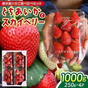 yӂ邳Ɣ[Łzy2026N1Jnzv1,000g Ȗ،Y Hה׃Zbg ÂĉuƂv× 嗱uXJCx[v | Ȗ، C`S  ʕ t[c Ƃ 