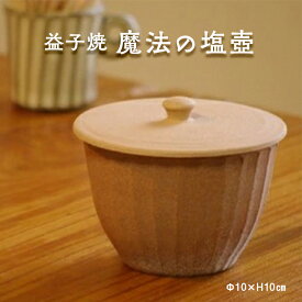 【ふるさと納税】益子焼 魔法の塩壺　わかさま陶芸　電子レンジ可　食洗器可　塩壺　スプーン付き（BJ009）