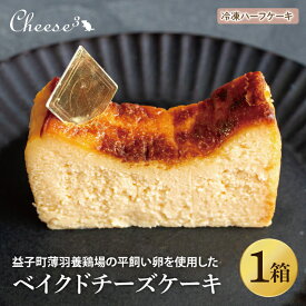 【ふるさと納税】ベイクドチーズケーキ　冷凍ハーフケーキ｜栃木県 益子町 ふるさと納税 チーズケーキ ベイクドチーズケーキ ケーキ 冷凍ケーキ（CP004）