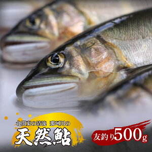 yӂ邳Ɣ[ŁzVR(Fނ) k֓̐u߉ϐYv 500g ^Ⓚ |  A VRA VR  VR Fނ N VN k֓   YΏ Ђ VՂ Riverline Ȗ، 