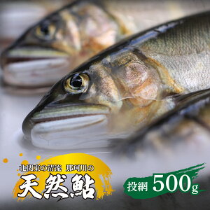 yӂ邳Ɣ[ŁzVR(ԋ) k֓̐u߉ϐYv 500g ^Ⓚ |  A VRA VR  VR  N VN k֓   YΏ Ђ VՂ Riverline Ȗ، Ζ