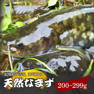 yӂ邳Ɣ[ŁzVRȂ܂(؂g) k֓̐u߉ϐYv 200g`299g ^Ⓚ | VR  i}Y N VN k֓  VՂ g XЂĂ Aq[W Riverline Ȗ، Ζؒ
