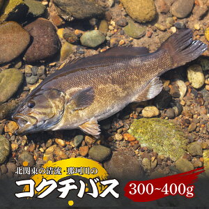 yӂ邳Ɣ[ŁzRN`oX k֓̐u߉ϐYv300`400g Ⓚ | RN`oX VR N 싛 ނ VN k֓  g g fg Ă YΏ g g O O