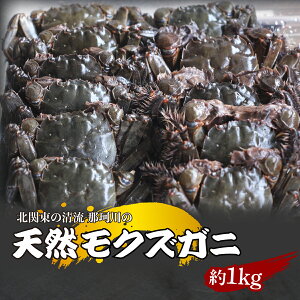 yӂ邳Ɣ[ŁzVRNYKj k֓̐u߉ϐYv 1kg(5`10C) Ⓚ | I Jj   VR VN k֓   JjX X` Riverline Ȗ، Ζؒ