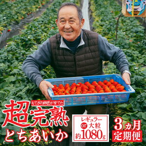 yӂ邳Ɣ[Łz3ցuΖ؊nvtĂ̂Ƃ M[TCY or 嗱 |  C`S  Ƃ Ƃ 2026N 1 2 3 n ʕ t