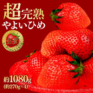 yӂ邳Ɣ[Łz2026Ns\񁄂 ؃t@[I n E 悢Ђ 1080g Iׂ锭 |  C`S  悢Ђ n ʕ t[c 4pbN  { Yn