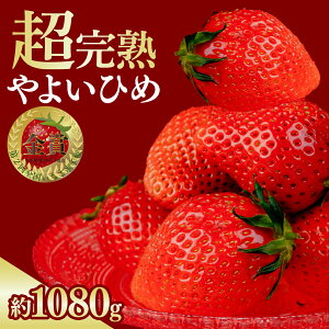 yӂ邳Ɣ[Łz I茠ܔ_ I n E 悢Ђ 1080g Iׂ锭 |  C`S  悢Ђ 1񂢂I茠 uh Xgx[ n 