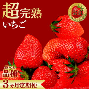 yӂ邳Ɣ[Łz3ց ؃t@[̊nE 悢Ђ or Ƃ |  C`S  悢Ђ XJCx[ 2026N 1 2 3 n ʕ t[c 4pbN 