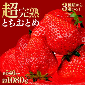 yӂ邳Ɣ[Łzst ؃t@[̊n̂ ƂƂ 540g 1,080g Iׂ锭e |  C`S  ƂƂ n Â ܂ ʕ t[c  { 