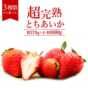 yӂ邳Ɣ[Łzst uΖ؊nv肳񂪈Ă Ƃ 540g 1,080g Iׂ锭e |  C`S  Ƃ n ʕ t[c  { Yn