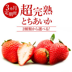 �y�ӂ邳�Ɣ[�Łz��3�����ց��������u�Ζ؊��n�������v�@�肳�񂪈�Ă� ���ǂ�Ƃ������� ���M�����[�T�C�Y or �嗱 | ������ �C�`�S � �Ƃ������� 2026�N 1�� 2�� 3�� ���n �ʕ� �t���[