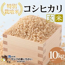 【ふるさと納税】特別栽培米　玄米〈コシヒカリ〉10kg ｜ 国産 栃木県産 コシヒカリ 米 お米 特別栽培米 玄米 栃木米 とちぎ米 産地直送 送料無料 ※2026年9月～発送